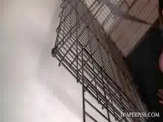 Caged me ngjyrë shat fërkon kuçkë në një tërheqës pelenë